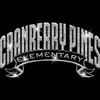 GLT37 SILVER GLITTER Thumbnail