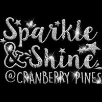 GLT67 SILVER GLITTER Thumbnail